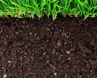 фото Грунт растительный 20м3 (12м3) север города