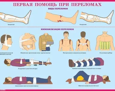 фото Плакат "Первая помощь при чрезвычайных ситуациях"