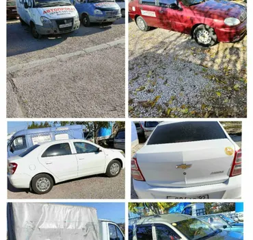 Белые скакуны