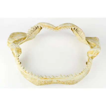 Фото №0 Настенное украшение- челюсть акулы Shishi CF1130928-S22