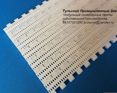 фото Прямоходная модульная лента с шагом 25 от Российского производителя.