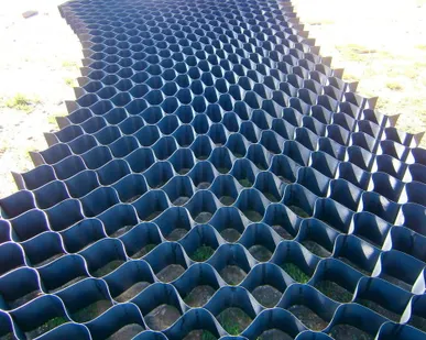 фото Георешетки «Сармат-П» Высота 15- 

320 х 320  (2,33 х 9,3 м)