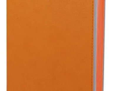 фото Ежедневник FreeNote, датированный, оранжевый