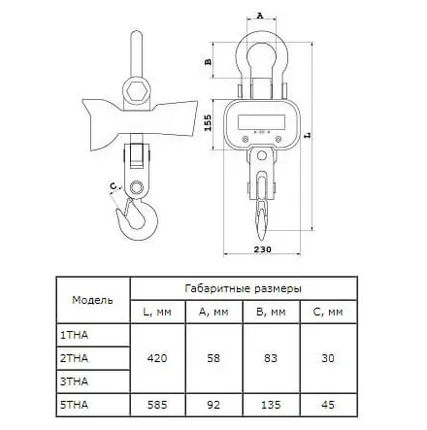 Фото №1 Весы крановые Caston-I-1THA