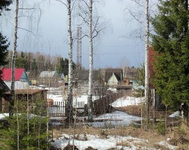 фото Грузоперевозки сады Лепсе (Чистые Ключи)