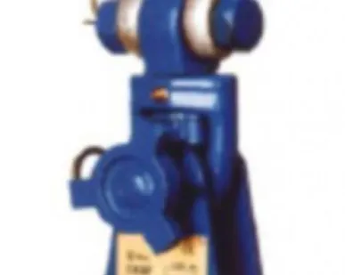 фото Блок шкивовый с проушиной LS3"*1