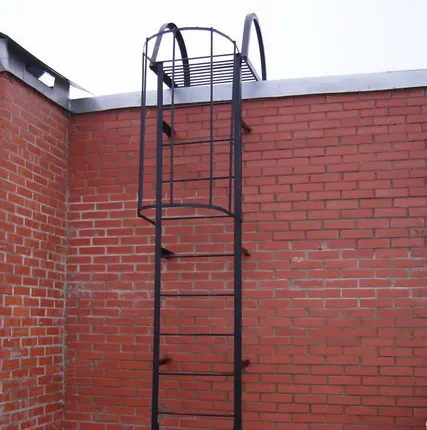 Фото №0 Лестницы пожарные вертикальные ЛМ/ЛСП