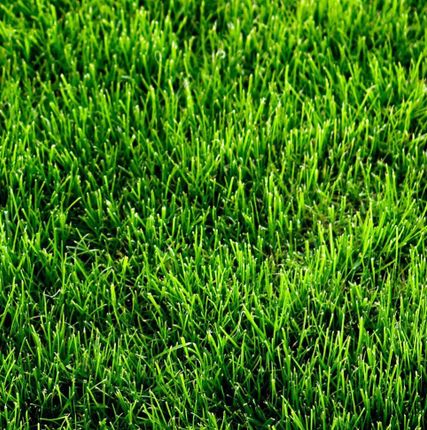Фото №0 Искусственная трава High Grass 4м, Condor