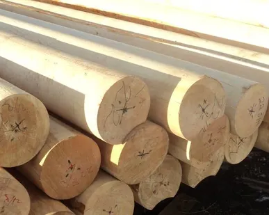 фото Бревно оцилиндрованное