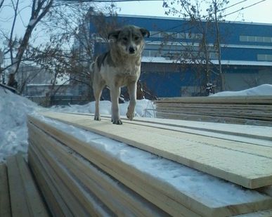 фото Доска