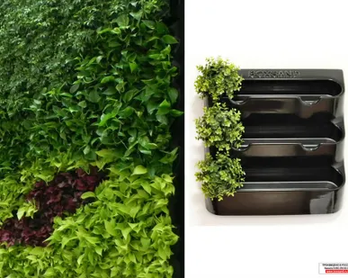 фото Фитомодуль 60х65 см для вертикального озеленения