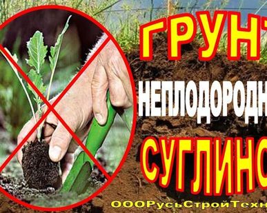 фото Грунт не плодородный