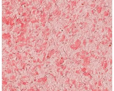 фото Жидкие обои Silk Plaster South 942, Яркий розовый