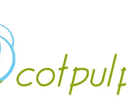 Фото №0 Целлюлоза хлопковая ГОСТ 595-79