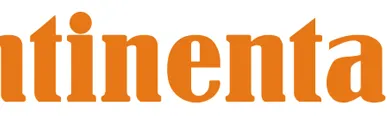 фото Continental ContiWinterContact TS 810 Sport 245/45 R19 102V зимняя