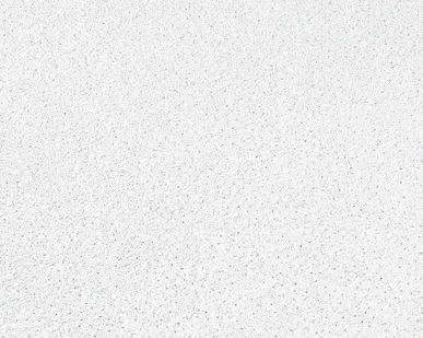 фото Подвесной потолок DUNE db Board 600 x 600 x19 мм (BP3010M4A)