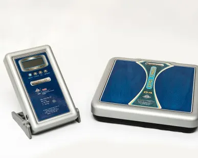 фото Весы ВМЭН-200-50/100-Д1-А