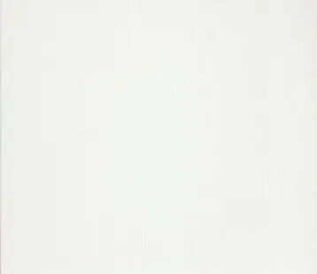 фото Плитка облицовочная Белая люкс 200х300