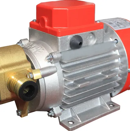 Фото №0 Шестеренный насос Rover pompe MARINA 24V-G20 (топливо, гсм, нефтепродукты, масла, отработка)