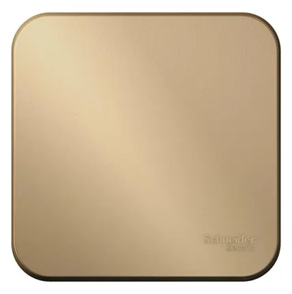 Фото №0 Выключатель 1-кл. ОП Blanca 10А IP20 (сх. 1) 250В с изолир. пластиной титан SE BLNVA101014