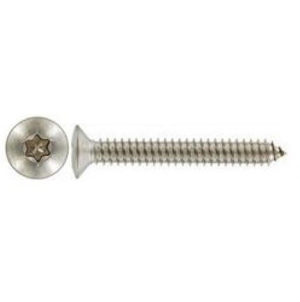 Фото №0 Саморез DIN 7983 TORX