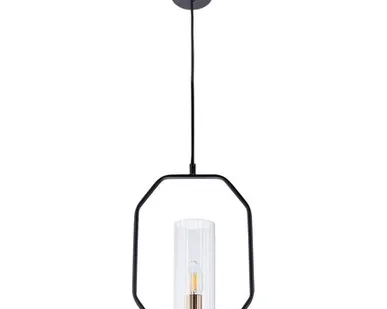 фото Подвесной светильник Arte Lamp CELAENO A7004SP-1BK