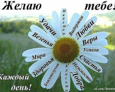 фото Альпинист