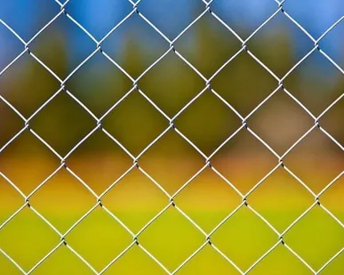 фото Сетка рабица оцинкованная 25х25 ячейка, 2.8 мм диаметр проволоки