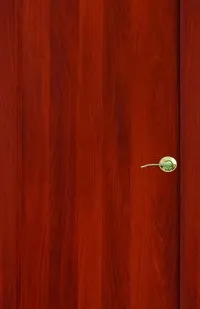 фото Полотно дверное глухое ПГ Гладкое 800 итальянский орех