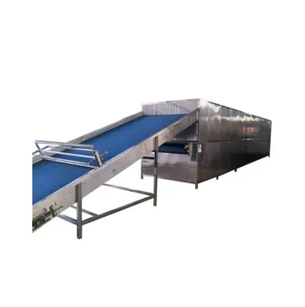 Фото №0 Конвейерную сушилку для кедрового ореха YH-12D в Москве