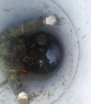 Фото №0 Копка траншеи