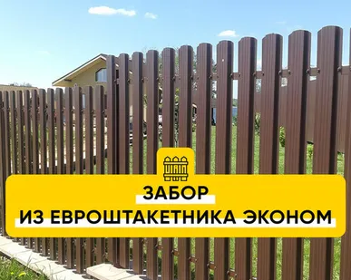 фото Забор из Евроштакетника Эконом RAL 8017, 6005, 3005