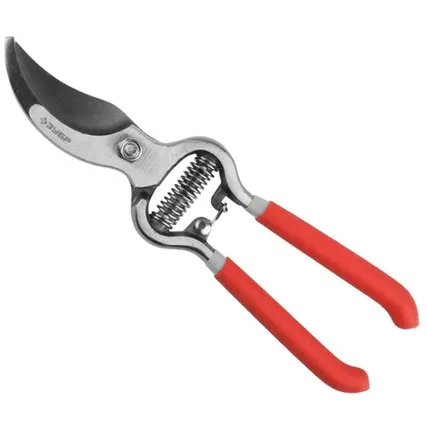 Фото №0 Секатор ЗУБР Эксперт 40109