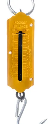 Фото №0 Весы - безмен 12 кг 1499