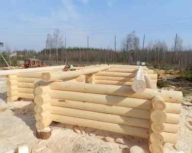 фото Срубы в чашу от Компании ООО "Строй народ"