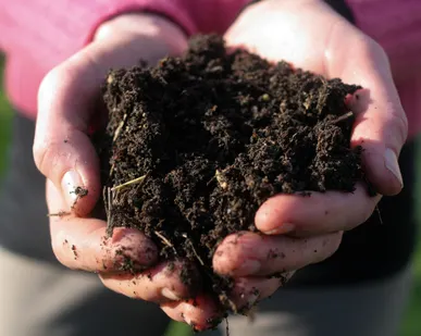 фото Земля плодородная с доставкой в Синявино