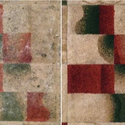 Фото №0 Профессиональная химчистка у Вас дома