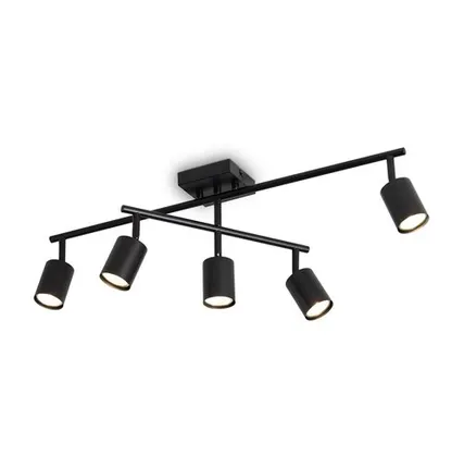 Фото №0 Светильник потолочный Freya FR5507CL-05B, черный