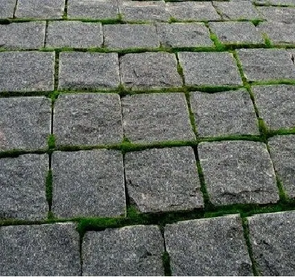 Фото №0 Брусчатка