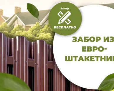 фото Забор из Евроштакетника