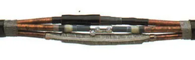 фото Муфта соединительная POLJ-12/3x120-240-T Raychem