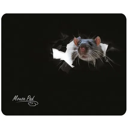 Фото №0 Коврик Dialog PM-H15 Mouse