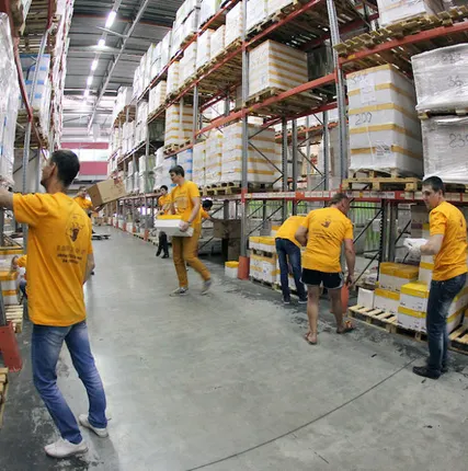 Фото №0 Чистка ковров