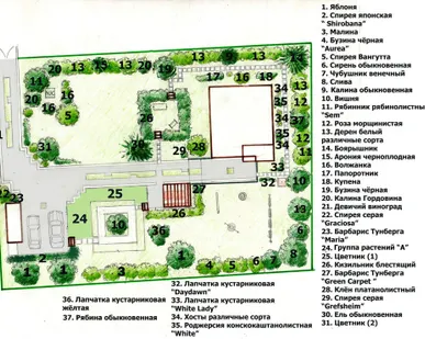 фото Разработка дендроплана участка с ассортиментной ведомостью.