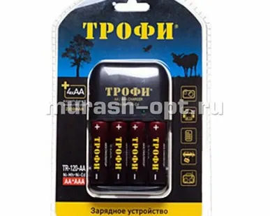фото Зарядное устройство "Трофи" R6 4*2300mAh (6/24)