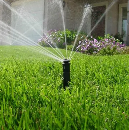 Фото №0 Устройство газона и систем автополива