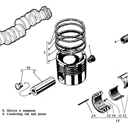 Фото №1 Кольцо поршневое маслосбрасывающее СБ20-04-08-6 (3Д6/Д12)