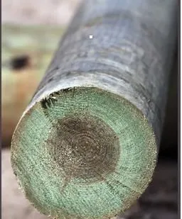 фото Опоры ЛЭП деревянные пропитанные