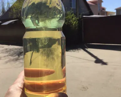 фото Топливо Печное Светлое