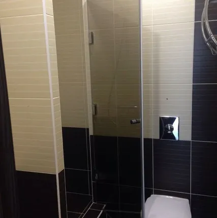 Фото №0 Стеклянная дверь в душевую нишу,стекло 8 мм (Бронза) распошная.